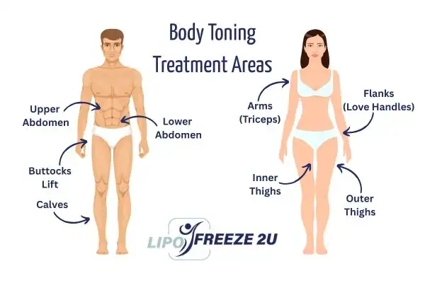Graphic showing where you can have Body toning Treatment Merseyside on your body